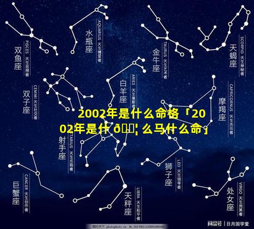 2002年是什么命格「2002年是什 🐦 么马什么命」